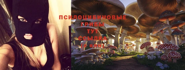 скорость Абаза