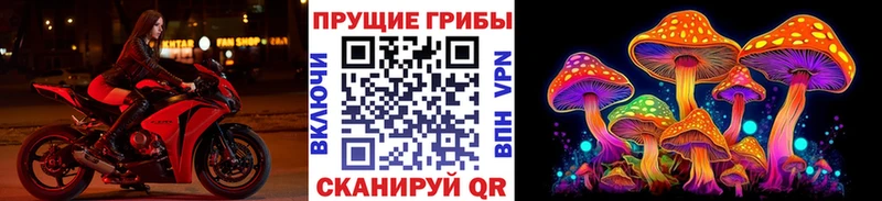 Галлюциногенные грибы MAGIC MUSHROOMS  Абдулино 